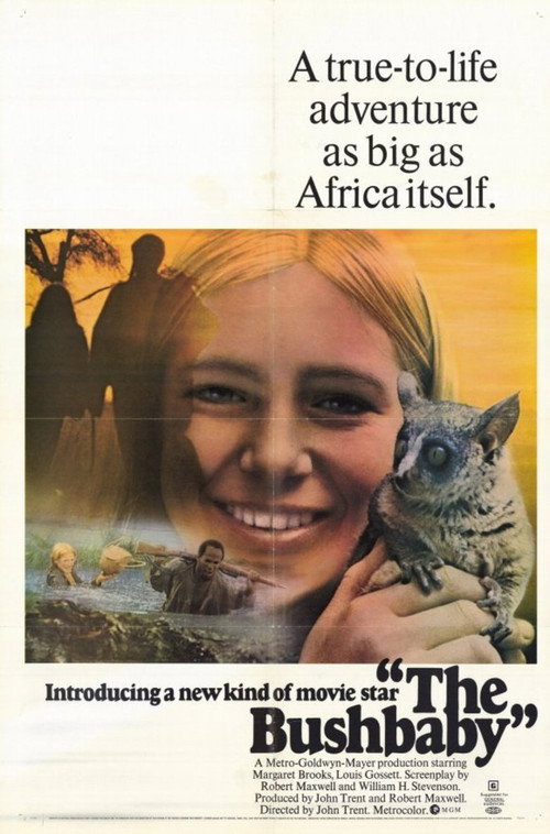 Movie poster for The Bushbaby (1969)