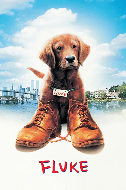 Movie poster for Fluke (1995)