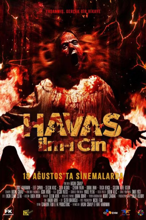 Movie poster for Havas İlm-i Cin