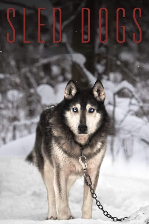 Movie poster for Sled Dogs (2017)