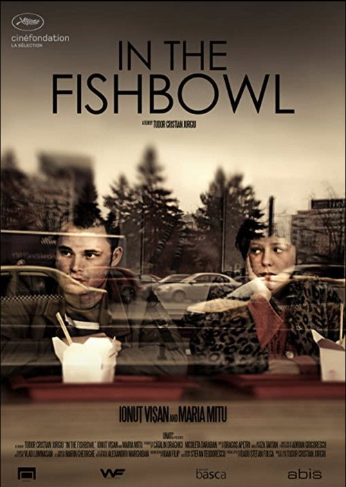 Movie poster for In the Fishbowl (2013)