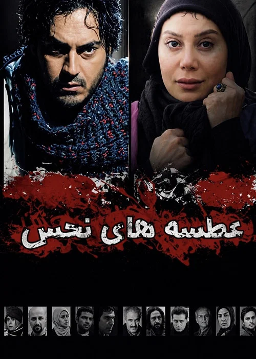 Movie poster for Cursed Sneezes (2011)