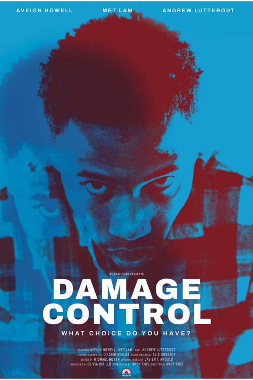 Movie poster for Damage Control (2024)