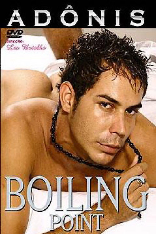Movie poster for Boiling Point (2006)