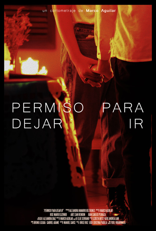 Movie poster for Permiso para dejar ir (2022)