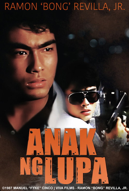 Movie poster for Anak ng lupa (1987)