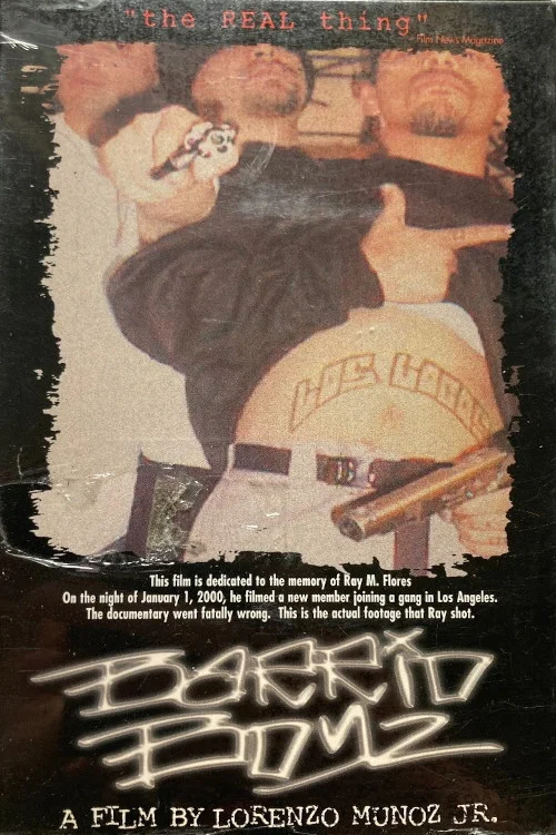Movie poster for Barrio Boyz (2000)