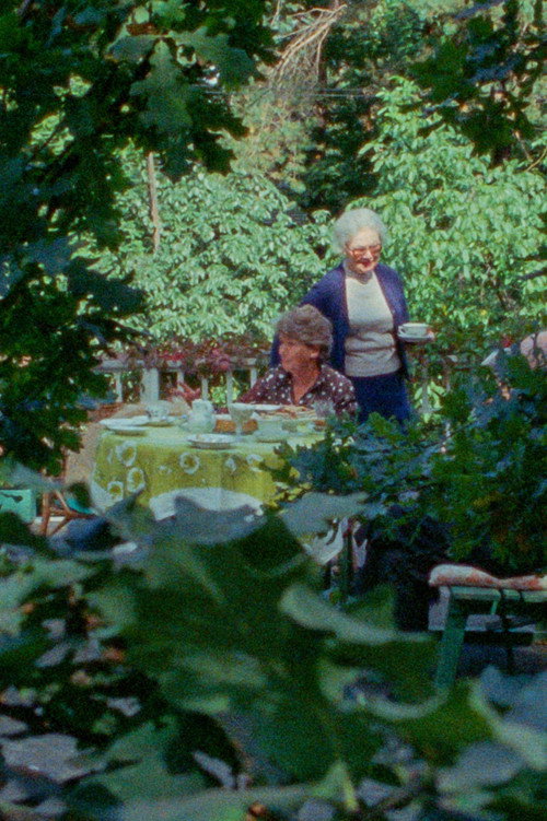 Movie poster for The Smile of the Garden (1982)