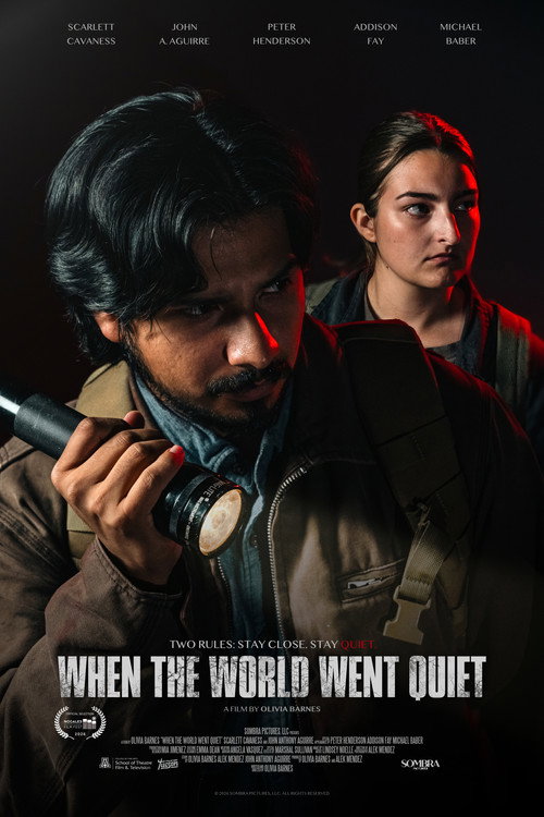 Movie poster for When the World Went Quiet