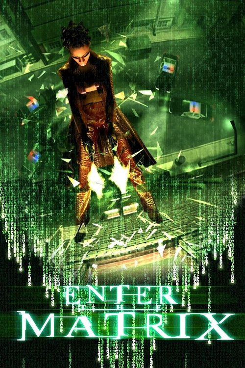 Movie poster for Making 'Enter the Matrix' (2003)