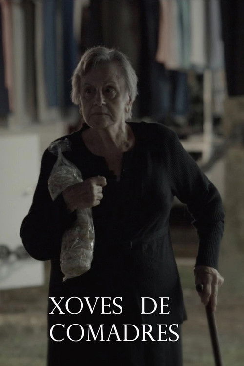 The Girl Who Comes On Thursdays poster