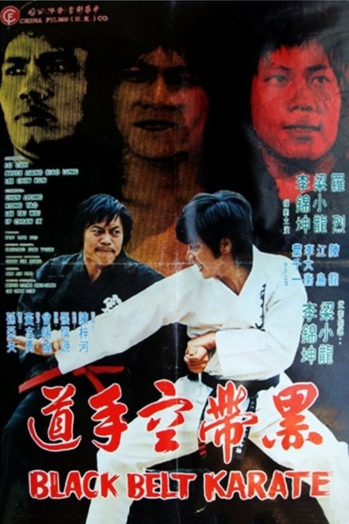 Movie poster for Black Belt Karate (1977)