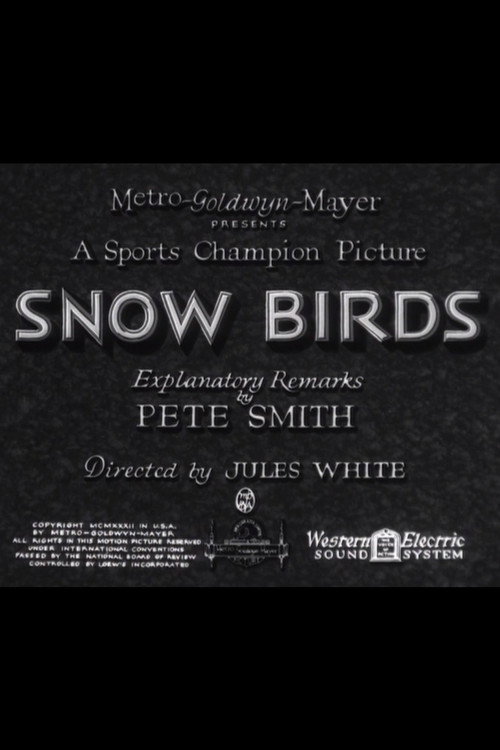 Movie poster for Snow Birds (1932)