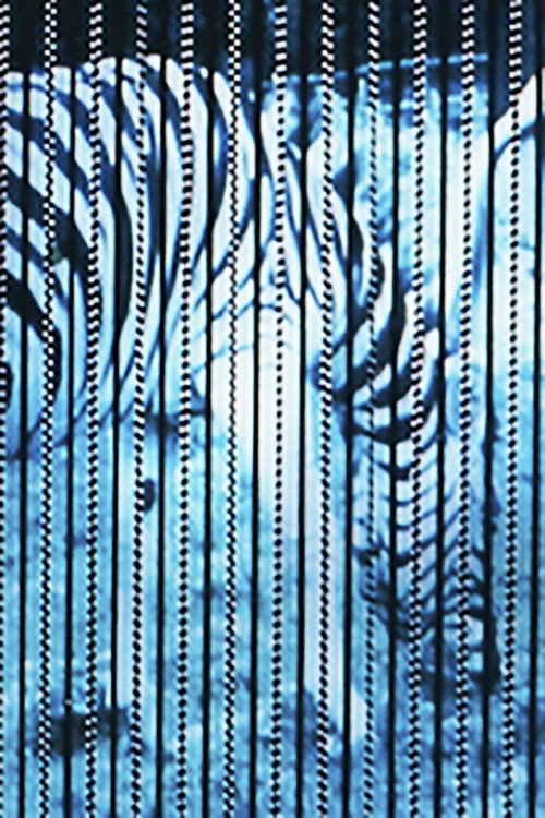 Movie poster for Zebras (1978)