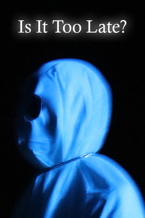 Movie poster for Is It Too Late? (2025)