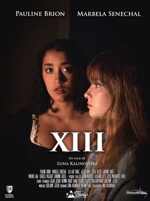 Movie poster for XIII (2023)
