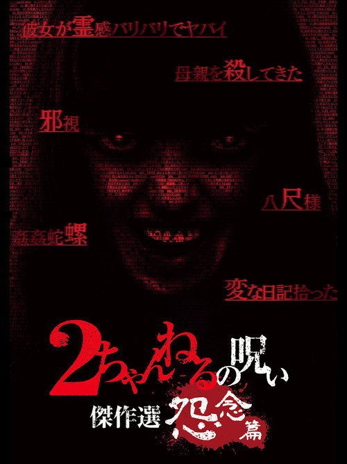 Movie poster for 2 Channel no Noroi: Grudge Edition (2013)