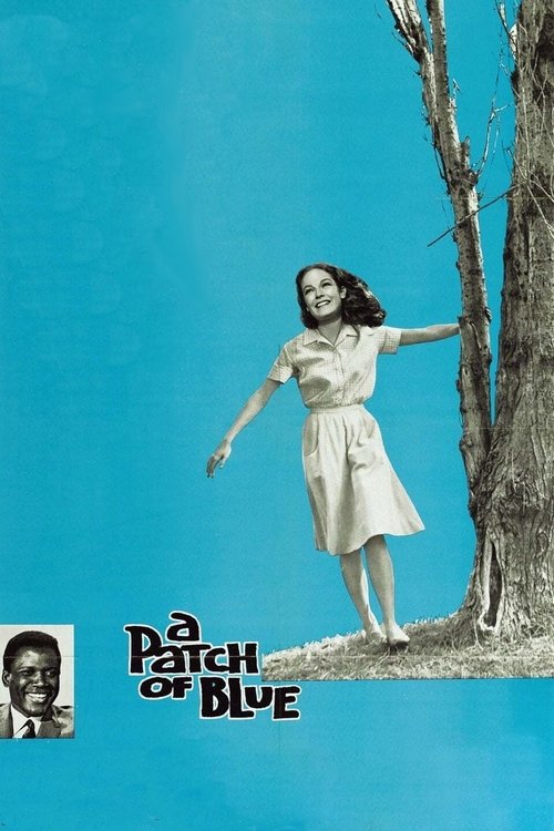 Movie poster for A Patch of Blue (1965)