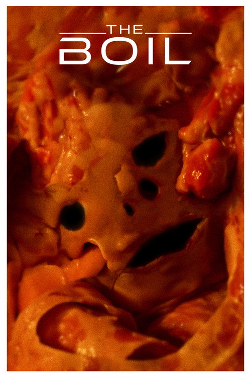 Movie poster for The Boil (2023)