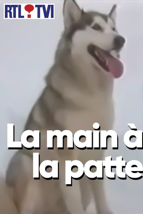 La main à la patte poster