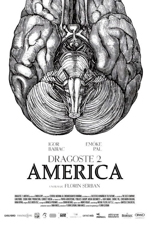 Movie poster for Love 2. America (2018)