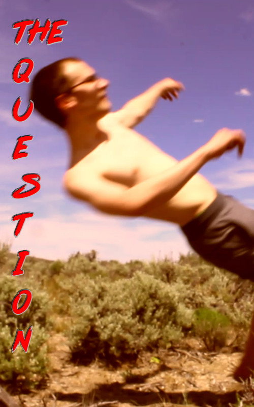Movie poster for The Question (2020)