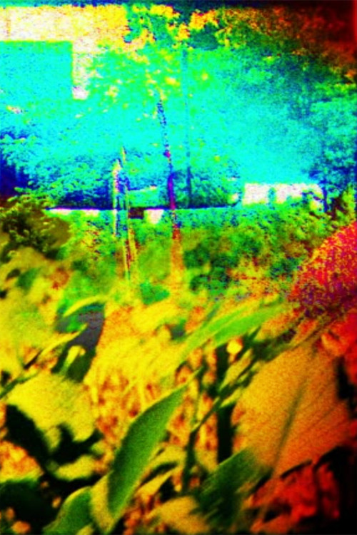 Movie poster for The Colors of Boulder in the Summer (2015)