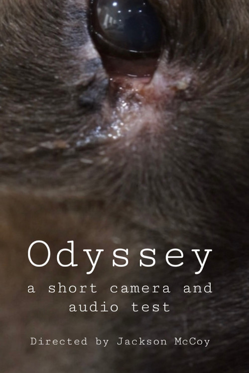 Movie poster for Odyssey - a camera and audio test (2025)