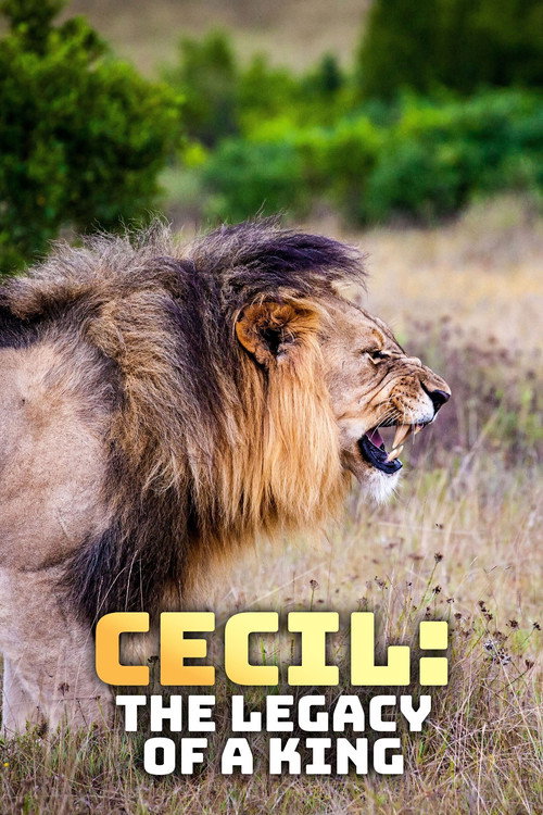Movie poster for Cecil: The Legacy of a King (2020)