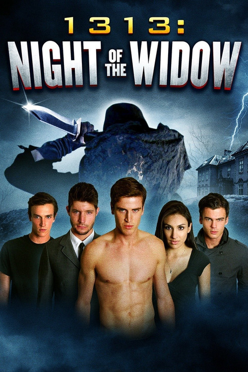 Movie poster for 1313: Night of the Widow (2012)