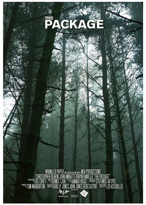 Movie poster for The Package (2018)
