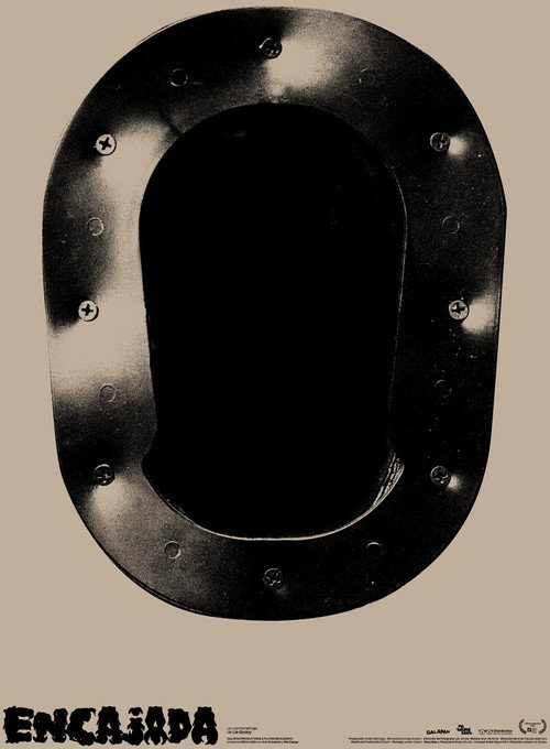 Movie poster for Embedded (2022)