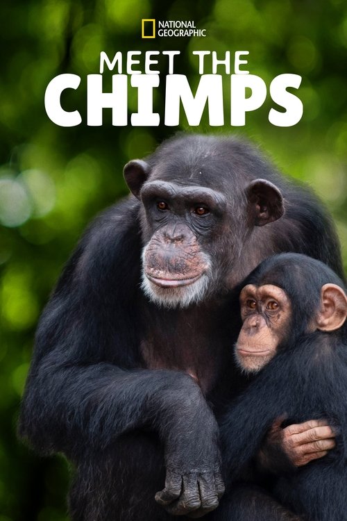 Series poster for Meet the Chimps (2020)