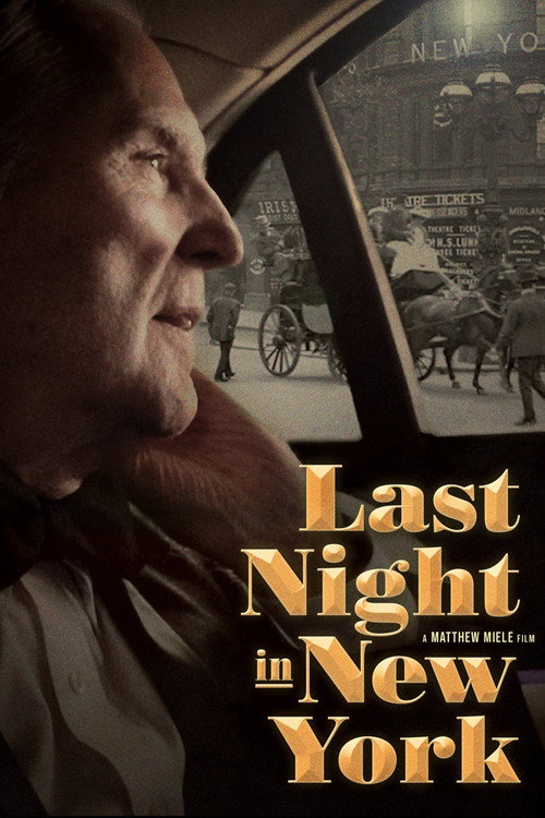 Movie poster for Last Night in New York (2023)