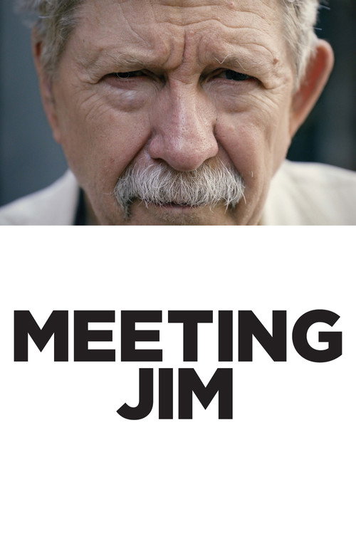 Movie poster for Meeting Jim (2018)