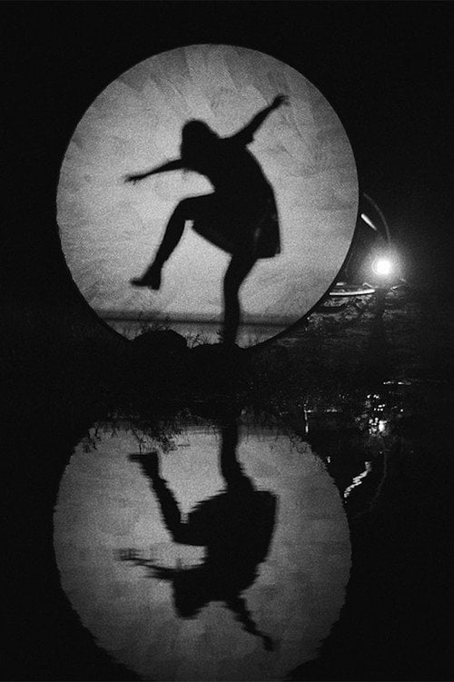 Movie poster for Shadow Nettes (2017)