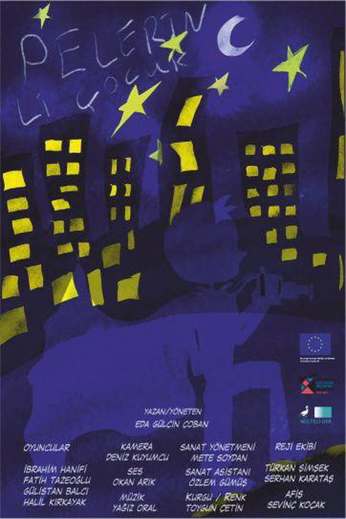 Movie poster for Pelerinli Çocuk (2021)