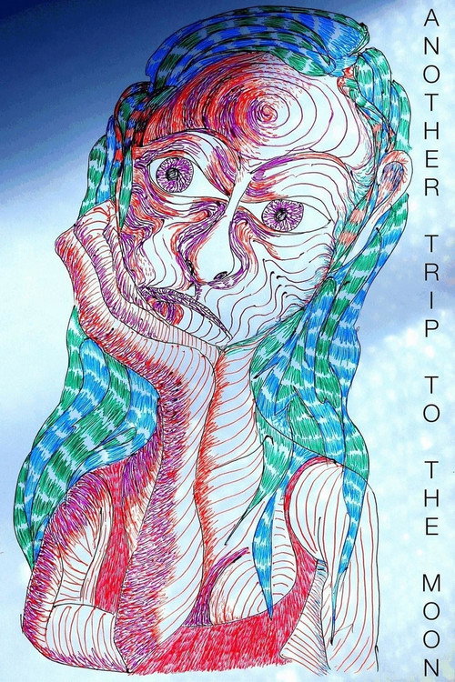 Movie poster for Another Trip to the Moon (2015)
