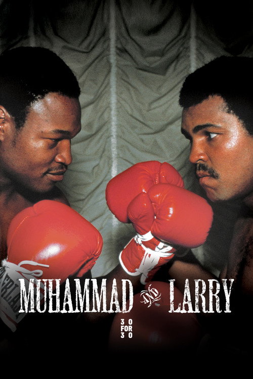 Movie poster for Muhammad and Larry (2009)