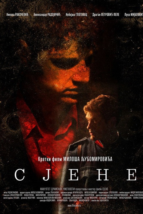 Movie poster for Shadows - The Last Days of Gavrilo Princip (2014)