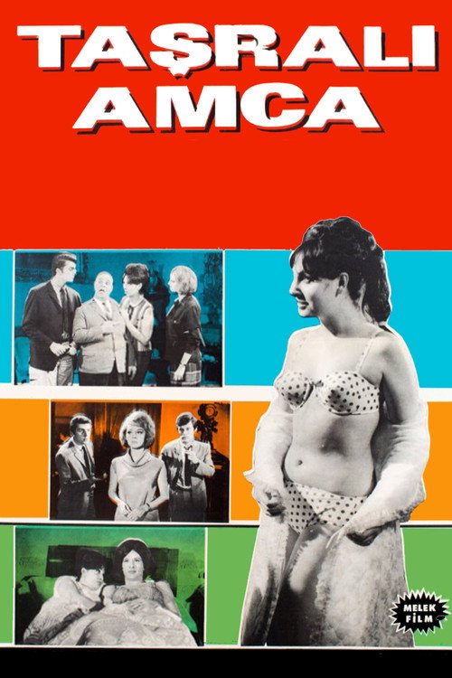 Movie poster for Taşralı Amca (1965)