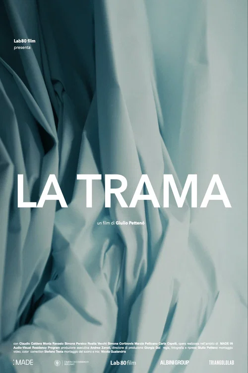 Movie poster for La Trama (2025)