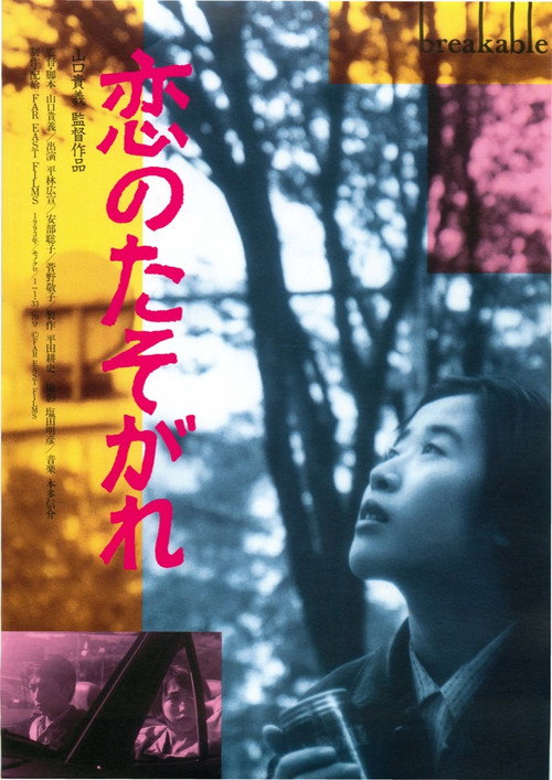 Movie poster for Breakable (1994)