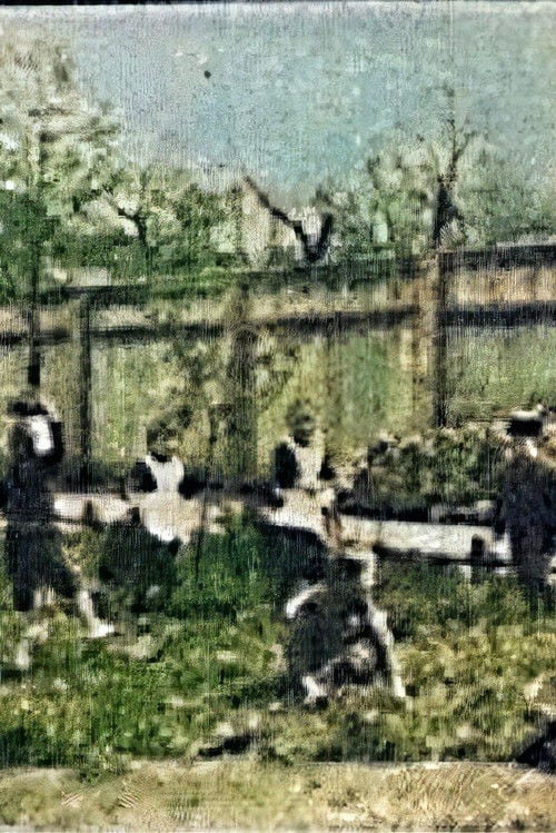 Movie poster for Children Playing in the Garden (1894)