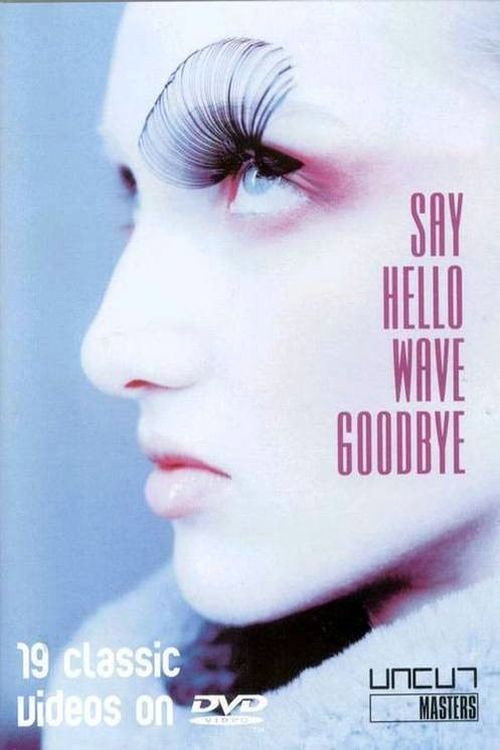Movie poster for Say Hello, Wave Goodbye (2005)
