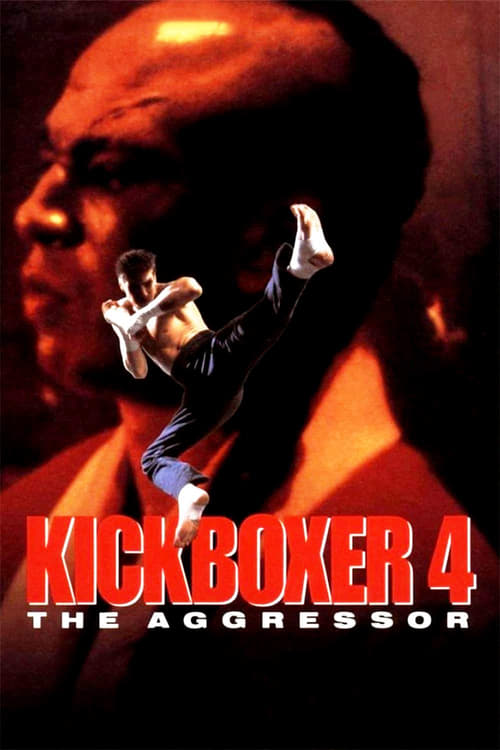 Movie poster for Kickboxer 4: The Aggressor (1994)