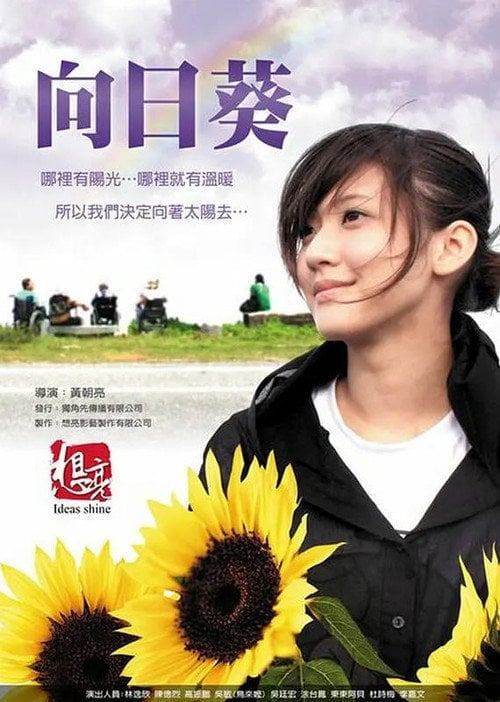 Movie poster for Sun Flowers (2010)
