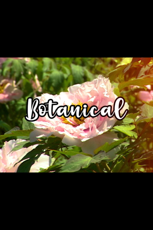 Movie poster for Bloom Skateboards Presents Botanical (2021)