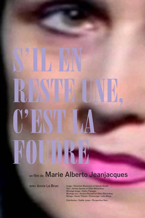 Movie poster for S'il en reste une, c'est la foudre (2016)