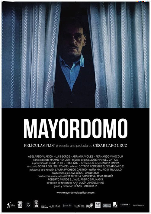 Movie poster for Mayordomo (2017)